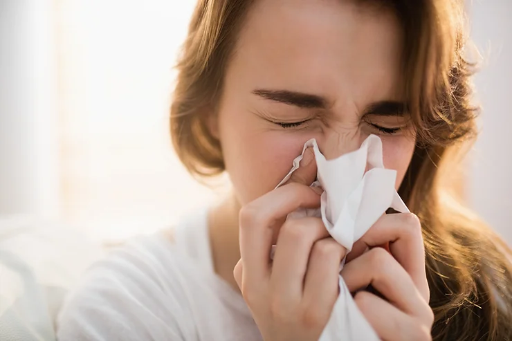 Allergies to Look Out for During the Summer Months